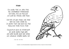 Winter-Falke-ausmalen.pdf